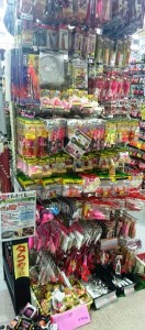 2015-6-15-ooyano-osusume-6574+4