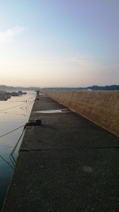 2015-6-15-ooyano-turiba-358452