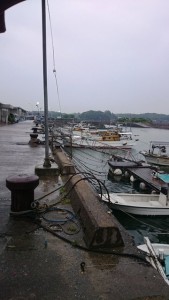 2015-6-8-ooyano-keshiki-85465