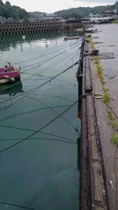 2015-08-07-KJGDFSDSC_0399