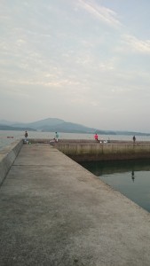 2015-08-24-tk03DSC_0410