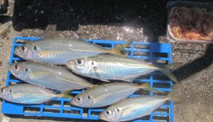 2015-8-27yjdijh 0025u78wergeyte