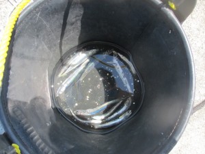 2015-8-27yjdijh 003hgryt