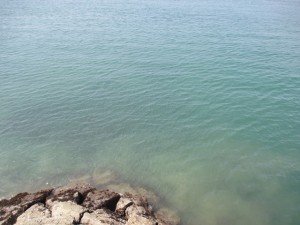 201568-14HGDJKUDFFHGMJF 007DGHF