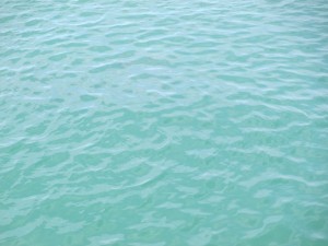 201568-14HGDJKUDFFHGMJF 010ZJNFG