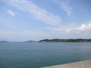 201568-14HGDJKUDFFHGMJF 014XNHGFJHG