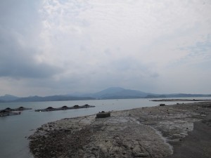 201568-14HGDJKUDFFHGMJF 016ZXBX