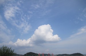 201568-14HGDJKUDFFHGMJF 018SRI