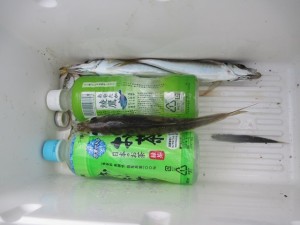 201568-14HGDJKUDFFHGMJF 024DASFF