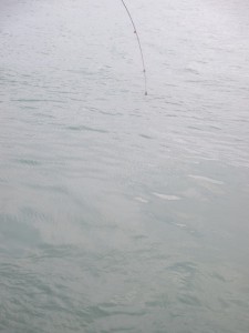 201568-14HGDJKUDFFHGMJF 032MV