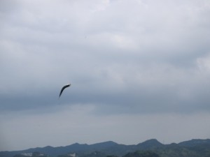 201568-14HGDJKUDFFHGMJF 033NVCXN