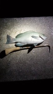 IMG_20150823_213734kuro001