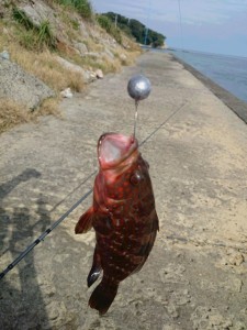 15-09-12-08-50-59-253_phototk02