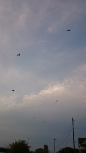 2015-09-14-tk05DSC_0450