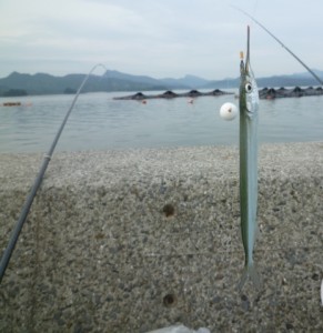 2015-09-15-ten03P1030619