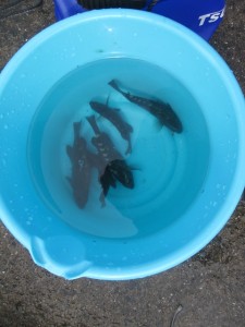 2015-9-3gdsjh 004dfgshfd