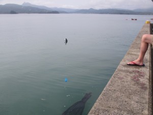 2015-9-3gdsjh 005truyr