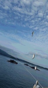 20150919_073308fgaefdshyt