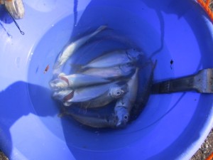 2015-10-2lkjuhgfjhdx 008xcgncxn