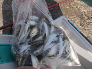 2015-10-2lkjuhgfjhdx 009cxnvxc