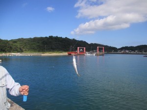 2015-10-2lkjuhgfjhdx 011fyureu6tu