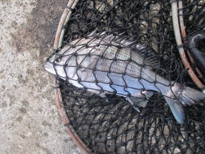 2015-10-2lkjuhgfjhdx 012gfjd