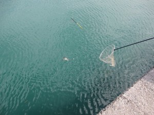 2015-10-2lkjuhgfjhdx 013fghjmdg