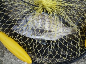 2015-11-01-yama04P1040288