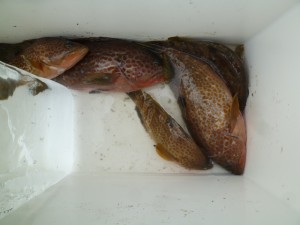 2015-11-01-yama05P1040293