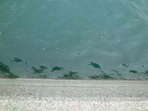 2015-11-01-yama08P1040303