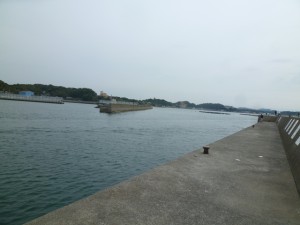 2015-11-01-yama09P1040299