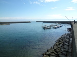 2015-11-07-lkjhsghhj02P1040362