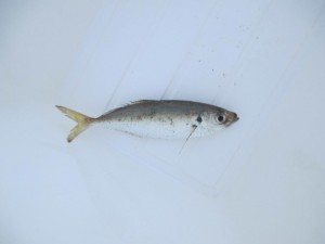 1111111111111111111111111111