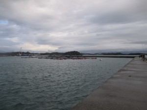 2015-12-11lkjlkgfdkjlk 026cvbhnfgc