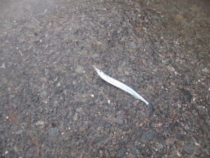 2015-12-11lkjlkgfdkjlk 043              xxxxxxxxxxxxxxxxxxxxx