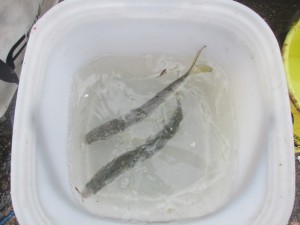 2015-12-3kjhcx 001ccccccccccccccccc