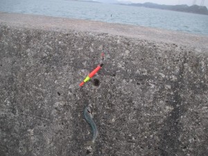 2015-12-3kjhcx 004fgsg