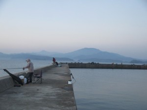 33333333333333333333333333333