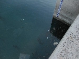 555555555555555555555555555555