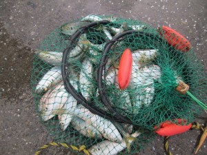 2016-1-14jhf 011fvvvvvvvvvvvvvvvvvvvvvvvvvvvvvv