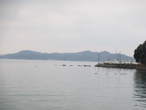 2016-1-14jhf 019,tdlryf