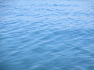 2016-1-16opjiuffe 014fgwerhy