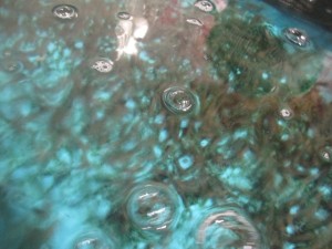 2016-1-21khjgfzx 013