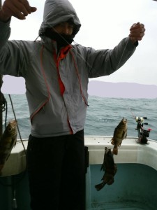 1455430178565xzcZCZcZ