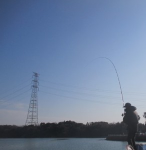 2016-2-11jhggfdhgkflhkj 002