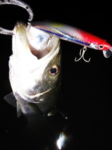 16-03-11-01-40-24-482_deco