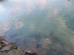 2016-03-01-ppoiy01036