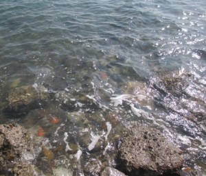 2016-03-24-zxc012017