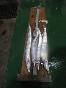 2016-3-17uyr 011vbc vf