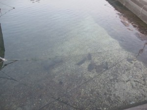 2016-3-19knhgf 008nfdnc